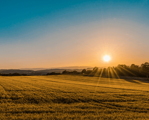 Why choose farm pack insurance