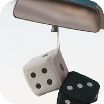 Blue Zebra Insurance | Domestic