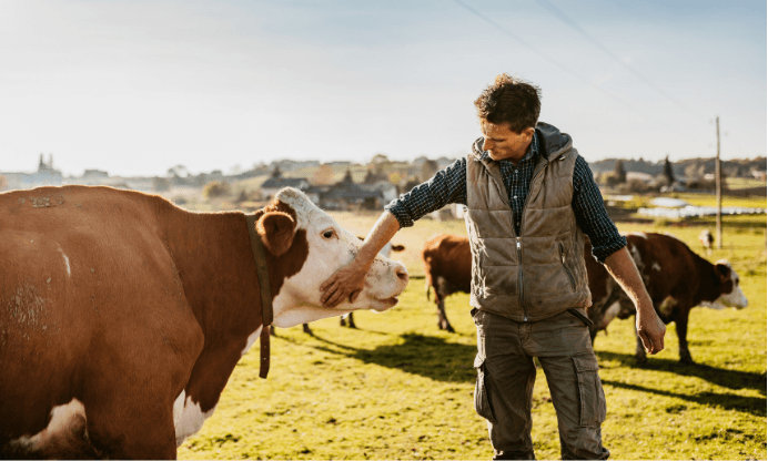 Farm Insurance by Blue Zebra