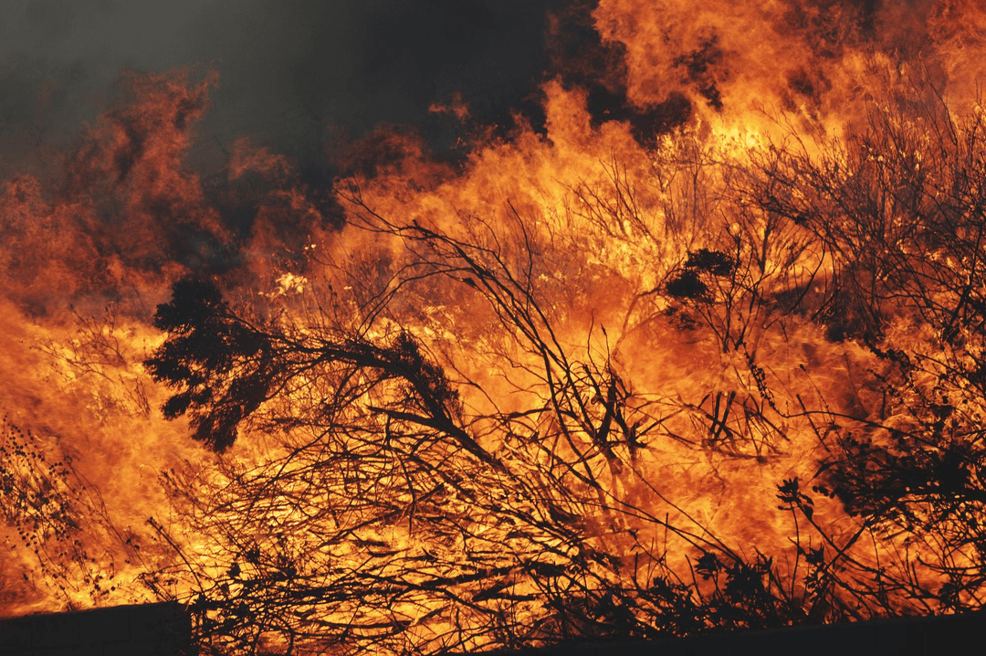 Bushfire burning through scrub