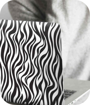 Blue Zebra Insurance | Commercial